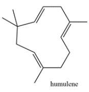 Humulene is a terpene that is responsible for the hops aroma in beer. Highlight the isoprene units in humulene and classify the terpene based on the number of carbons (ex. monoterpene, etc.)   