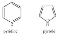 Pyridine and pyrrole are both aromatic nitrogen-containing rings. Explain how the lone pair on each nitrogen contributes or does not contribute to the pi electron count.  <div style=padding-top: 35px> 