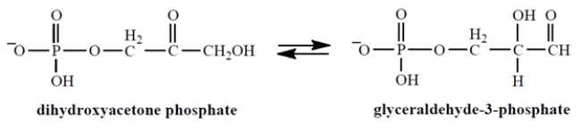 The enzyme triose phosphate isomerase catalyzes this important reaction in glycolysis (the breakdown of glucose) :   A)  an oxidation. B)  a reduction. C)  neither an oxidation nor a reduction. D)  an S<sub>N</sub>2 reaction.