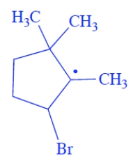 The bromine will add to the less substituted alkene carbon and generate the more stable radical, the tertiary radical. The structure of the free-radical intermediate is  