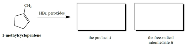 Give the product A that results when HBr undergoes peroxide-mediated addition to 1-methylcyclopentene. Also give the structure of the free-radical intermediate B (other than Br.) in the propagation steps of this reaction.   