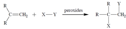 A free-radical addition of a certain compound X-Y to an alkene (R = alkyl)  results in the conversion:   The first propagation step in the mechanism is   Therefore, what is the second propagation step in the mechanism? A)      B)      C)     \mathrm { X } - \mathrm { Y } \longrightarrow \mathrm { Y } \cdot + \cdot \mathrm { X }  D)  Both (b)  and (c)  are propagation steps. E)  Both (a)  and (b)  are propagation steps. 