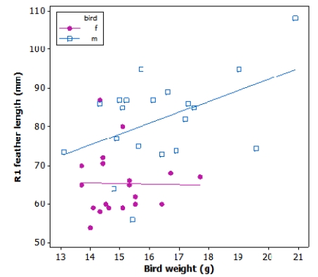 Tail-feather length in birds is sometimes a sexually dimorphic trait. That is, the trait differs substantially for males and for females. Researchers studied the relationship between tail-feather length (measuring the R1 central tail feather)  and weight in a sample of 20 male and 21 female long-tailed finches raised in an aviary.   We would like to use the observed least-squares regression line between weight and tail-feather length of females to predict the tail-feather length of a male long-tailed finch weighing 8 g. Would this prediction be appropriate? A) Yes, because the corresponding relationship is clearly linear B) No, because the observed relationship is different for males and for females C) No, because it would be extrapolating beyond range D) No, because there is too much variation in the observed relationship