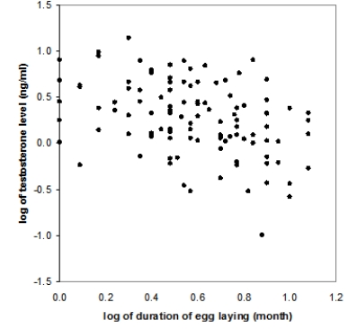 Bird species from temperate regions must cope with relatively short breeding seasons. A study examined the relationship between blood testosterone level (ng/ml)  and the duration of the egg-laying period (months)  in temperate bird species. The following scatterplot displays this relationship, after taking the logarithm of each variable: What does this scatterplot reveal?    A) A weak negative linear association between the logarithm of egg-laying duration and the logarithm of testosterone level B) A weak positive linear association between the logarithm of egg-laying duration and the logarithm of testosterone level C) No association at all between the logarithm of egg-laying duration and the logarithm of testosterone level
