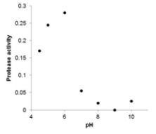  The protease activity found in walnuts preserved in buffers of various pHs is listed in the following table: ? ?  \begin{array} { | l | l | l | l | l | l | l | l | }  \hline \mathrm { pH } & 4.5 & 5 & 6 & 7 & 8 & 9 & 10 \\ \hline \text { protease activity } & 0.17 & 0.245 & 0.28 & 0.055 & 0.02 & 0 & 0.025 \\ \hline \end{array}  Which of the following scatterplots is a correct representation of the data? A)    B)    C)    D)    