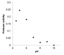  The protease activity found in walnuts preserved in buffers of various pHs is listed in the following table: ? ?  \begin{array} { | l | l | l | l | l | l | l | l | }  \hline \mathrm { pH } & 4.5 & 5 & 6 & 7 & 8 & 9 & 10 \\ \hline \text { protease activity } & 0.17 & 0.245 & 0.28 & 0.055 & 0.02 & 0 & 0.025 \\ \hline \end{array}  Which of the following scatterplots is a correct representation of the data? A)    B)    C)    D)    