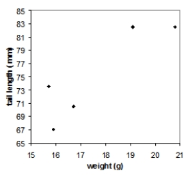  Tail-feather length in birds is sometimes a sexually dimorphic trait. That is, the trait differs substantially for males and for females. Researchers studied the relationship between weight (x)  and tail-feather length (y)  in a sample of five wild male long-tailed finches. Here are the data:  \begin{array} { c c }  \text { weight } ( \mathrm { g } )  & \text { tail length } ( \mathrm { mm } )  \\ 20.8 & 82.5 \\ 19.1 & 82.5 \\ 15.9 & 67.0 \\ 16.7 & 70.5 \\ 15.7 & 73.5 \end{array}  Which of the following scatterplots is a correct representation of these data? A)    B)    C)    D)    