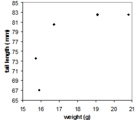  Tail-feather length in birds is sometimes a sexually dimorphic trait. That is, the trait differs substantially for males and for females. Researchers studied the relationship between weight (x)  and tail-feather length (y)  in a sample of five wild male long-tailed finches. Here are the data:  \begin{array} { c c }  \text { weight } ( \mathrm { g } )  & \text { tail length } ( \mathrm { mm } )  \\ 20.8 & 82.5 \\ 19.1 & 82.5 \\ 15.9 & 67.0 \\ 16.7 & 70.5 \\ 15.7 & 73.5 \end{array}  Which of the following scatterplots is a correct representation of these data? A)    B)    C)    D)    