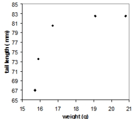  Tail-feather length in birds is sometimes a sexually dimorphic trait. That is, the trait differs substantially for males and for females. Researchers studied the relationship between weight (x)  and tail-feather length (y)  in a sample of five wild male long-tailed finches. Here are the data:  \begin{array} { c c }  \text { weight } ( \mathrm { g } )  & \text { tail length } ( \mathrm { mm } )  \\ 20.8 & 82.5 \\ 19.1 & 82.5 \\ 15.9 & 67.0 \\ 16.7 & 70.5 \\ 15.7 & 73.5 \end{array}  Which of the following scatterplots is a correct representation of these data? A)    B)    C)    D)    