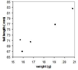  Tail-feather length in birds is sometimes a sexually dimorphic trait. That is, the trait differs substantially for males and for females. Researchers studied the relationship between weight (x)  and tail-feather length (y)  in a sample of five wild male long-tailed finches. Here are the data:  \begin{array} { c c }  \text { weight } ( \mathrm { g } )  & \text { tail length } ( \mathrm { mm } )  \\ 20.8 & 82.5 \\ 19.1 & 82.5 \\ 15.9 & 67.0 \\ 16.7 & 70.5 \\ 15.7 & 73.5 \end{array}  Which of the following scatterplots is a correct representation of these data? A)    B)    C)    D)    