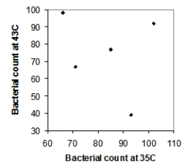  Five strains of the Staphylococcus aureus bacteria were grown for 24 hours either at 35 degrees Celsius or at 43 degrees Celsius. Here are the resulting bacterial counts for each condition:  \begin{array}{c} \begin{array}{lll} \text{24 hours at 35 degrees Celsius}\\ 66\\ 71\\ 93\\ 102\\ 62 \end{array} \begin{array}{lll} \text{24 hours at 43 degrees Celsius}\\ 98 \\ 67 \\ 42 \\ 31 \\ 77 \end{array} \end{array}  Which of the following scatterplots is a correct representation of these data? A)    B)    C)    D)    