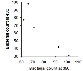  Five strains of the Staphylococcus aureus bacteria were grown for 24 hours either at 35 degrees Celsius or at 43 degrees Celsius. Here are the resulting bacterial counts for each condition:  \begin{array}{c} \begin{array}{lll} \text{24 hours at 35 degrees Celsius}\\ 66\\ 71\\ 93\\ 102\\ 62 \end{array} \begin{array}{lll} \text{24 hours at 43 degrees Celsius}\\ 98 \\ 67 \\ 42 \\ 31 \\ 77 \end{array} \end{array}  Which of the following scatterplots is a correct representation of these data? A)    B)    C)    D)    