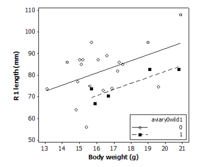  Tail-feather length is a sexually dimorphic trait in long-tailed finches; that is, the trait differs substantially for males and for females of the same species. A bird's size and environment might also influence tail-feather length. Researchers studied the relationship between tail-feather length (measuring the R1 central tail feather)  and weight in a sample of 20 male long-tailed finches raised in an aviary and 5 male long-tailed finches caught in the wild. The data are displayed in the scatterplot below. ​   The following model is proposed for predicting the length of the R1 feather from the bird's weight and origin: R1Length<sub>i</sub> = β<sub>0</sub> + β<sub>1</sub> (BodyWeight<sub>i</sub>)  + β<sub>2</sub> (Aviary0Wild1<sub>i</sub>)  + ε<sub>i</sub> Where the deviations ε<sub>i</sub> were assumed to be independent and Normally distributed with mean 0 and standard deviation σ . This model was fit to the sample of 25 male finches. The following results summarize the least-squares regression fit of this model:  \begin{array}{l} \begin{array}{lrr} \text { Predictor } & \text { Coef } & \text { SE Coef } \\ \text { Constant } & 35.79 & 16.95 \\ \text { BodyWeight } & 2.826 & 1.030 \\ \text { Aviary0Wild1 }-10.453 & 4.996 \end{array}\\ \mathrm{S}=9.62172 \quad \mathrm{R}-\mathrm{Sq}=30.2 \% \end{array}    \begin{array}{l} \text { Analysis of Variance }\\ \begin{array}{lrrr} \text { Source } & \text { DF } & \text { SS } & \text { MS } \\ \text { Regression } & 2 & 879.79 & 439.90 \\ \text { Residual Error } & 22 & 2036.71 & 92.58 \\ \text { Total } & 24 & 2916.50 & \end{array} \end{array}  Suppose we wish use the ANOVA F test to test the following hypotheses: H<sub>0</sub>: β<sub>1</sub> = β<sub>2</sub> = 0 H<sub>α</sub>: At least one of β<sub>1</sub> or β<sub>2</sub> is not 0 What is the P-value of this test? A) Greater than 0.10 B) Between 0.05 and 0.10 C) Between 0.01 and 0.05 D) Less than 0.01 