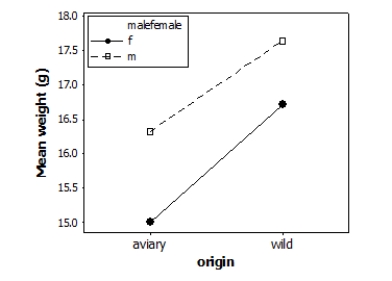  Does the environment affect bird weight? Researchers measured the weight (in grams)  of male and female adult finches that were either raised in an aviary or caught in the wild. This observational study does not have a balanced design, particularly because finches caught in the wild were more difficult to obtain. A total of 52 finches were studied. A partial ANOVA table is provided below, along with an interaction plot displaying the group means. ​  \begin{array}{l} \begin{array} { l r r r }  \text { Factor } & \text { Type } & \text { Levels } & \text { Values } \\ \text { malefemale } & \text { fixed } & 2 & f , m \\ \text { origin } & \text { fixed } & 2 & \text { aviary, wild } \end{array}\\ \\ \text { Analysis of Variance for bird weight }\\ \\ \begin{array} { l r r r r r }  \text { Source } & \text { DF } & \text { SS } & \text { MS } & \text { F } & \text { P } \\ \text { Malefemale } & 1 & 10.844 & 10.844 & & \\ \text { origin } & 1 & 19.607 & 19.607 & & \\ \text { interaction } & 1 & 0.340 & 0.340 & & \\ \text { Error } & 48 & 125.140 & 2.607 & & \end{array} \end{array}  S = 1.61465 R-Sq = 23.88% R-Sq(adj)  = 19.12%   The researcher has determined there is no significant interaction effect, so we may proceed to analyze the main effects of sex and origin. Using a significance level of 0.05, what do the results suggest about the main effects of sex and origin? A) Sex affects mean weight significantly in finches, but origin does not. B) Origin affects mean weight significantly in finches, but sex does not. C) In finches, sex affects mean weight significantly, and origin affects mean weight significantly, but the two influences work independently. D) Sex affects mean weight significantly, and origin affects mean weight significantly, but the influence of origin is different for male and for female finches. 