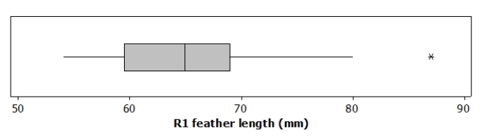 Researchers measured the length of the central retrix (R1) , a flight-involved tail feather, in 21 female long-tailed finches. A boxplot of the length, in millimeters (mm) , is given here:   Based on this boxplot, which of the following statements is TRUE? A) The distribution of R1 lengths is bimodal. B) The distribution of R1 lengths has a high outlier. C) In this study, 75% of the birds had an R1 length above 70 mm. D) The mean R1 length is approximately 66.