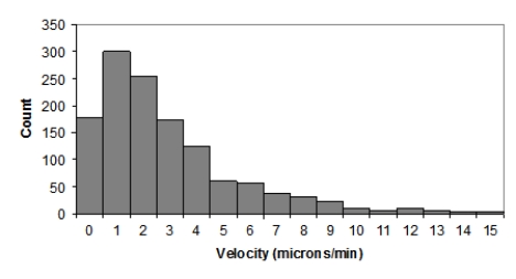 <strong>Here is a histogram of T-cell velocities in vitro (in microns per minute): The data represent a random sample of T cells grown in lab conditions. Is it appropriate to compute a 95% for the mean T-cell velocity μ?  </strong> A)Yes, despite the clearly skewed data, because the sample size is large enough B)No, because the data are clearly skewed C)Yes, because the population of T-cell velocities is most likely approximately Normal D)No, because the population of T-cell velocities is most likely not Normal <div style=padding-top: 35px> 