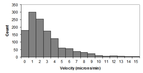 Here is a histogram of T-cell velocities in vitro (in microns per minute) : ​   ​ Which of the following statements is NOT true? A) The population distribution of T-cell velocities is most likely skewed to the right. B) The distribution of T-cell velocities would be more Normal if the researchers had collected more data. C) When n is large, the sampling distribution of average T-cell velocities is approximately Normal. D) The sampling distribution of average T-cell velocities for samples of size n = 10 is very likely right-skewed.