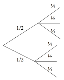 Two-thirds of patients in a drug trial suffered from severe migraines as a side effect. Another side effect was impaired vision, with 25% of all patients having no impairment, 50% having some impairment, and 25% having severe impairment. Based on these probabilities, which of the following would be the correct tree diagram? A)    B)    C) Both A and B are correct. D) Neither A nor B is correct.