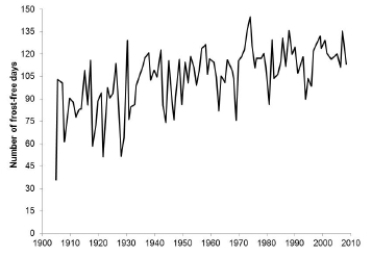 The U.S. Global Change Research Program examined data for evidence of global climate change. The following graph shows the yearly number of days without frost (air temperature below freezing)  between 1904 and 2008 in Fairbanks, Alaska. ​   ​ Which of the following statements about the data is TRUE? A) There is a clear upward trend but no cyclical pattern. B) There is a clear cyclical pattern but no trend. C) There is a clear upward trend as well as a clear cyclical pattern. D) There is neither a clear trend nor a cyclical pattern.
