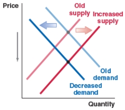 Which of the following figures shows the correct shift(s) in the market for Egyptian pounds (the currency of Egypt) when Egypt's domestic prices rise? A) B) C) D)