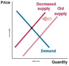 Which of the following figures shows the correct shift(s) in the market for Egyptian pounds (the currency of Egypt) when Egypt's domestic prices rise? A) B) C) D)