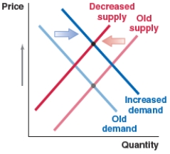 Which of the following figures shows the correct shift in the market for the Mongolian tugrik (the currency of Mongolia) if the value of the tugrik is expected to fall in the near future? A) B) C) D)