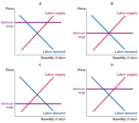 Consider these four graphs of the labor market, showing four different minimum wage levels. Which graph(s)  shows a wage level where there is no unemployment?   A) graphs A and D B) graph B C) graphs A and C D) graph D