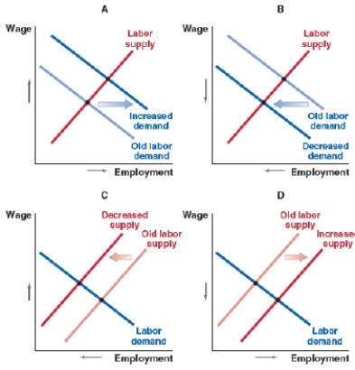 Supermarkets need to hire fewer cashiers, due to self-checkout counters. Which graph shows what happens to the labor market for cashiers?   A) Graph A B) Graph B C) Graph C D) Graph D