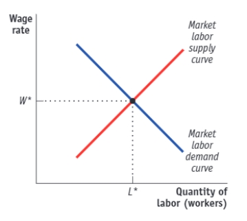 (Figure: Competitive Equilibrium in the Labor Market)  Use Figure: Competitive Equilibrium in the Labor Market. In the figure, an increase in population that increases the size of the labor force will, all else equal, lead to a(n)  _____ in the equilibrium quantity of labor and a(n)  _____ in the equilibrium price of labor.   A) increase; increase B) decrease; increase C) increase; decrease D) decrease; decrease