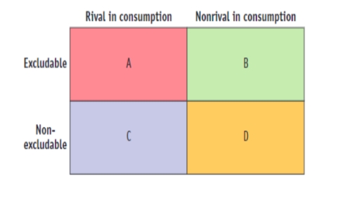 (Figure: Public Goods and Common Resources)  Use Figure: Public Goods and Common Resources. The figure lists the type of goods that are available for consumption. Panel D depicts a good that is both nonrival in consumption and nonexcludable. Such a good would be considered a:   A) private good. B) club good. C) public good. D) common resource.