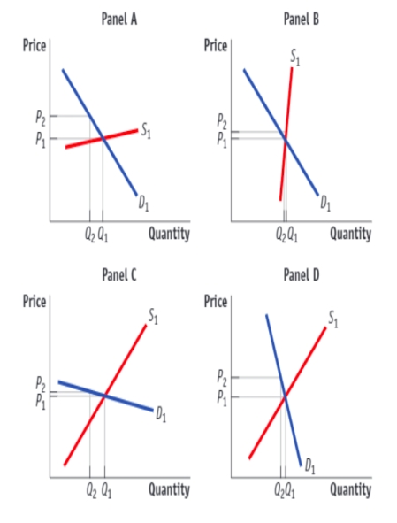 (Figure: The Incidence of Tax and Elasticities)  Use Figure: The Incidence of Tax and Elasticities. Each panel below shows the application of a tax that raises the price from P1 to P2. When a good or service is characterized by a relatively inelastic supply, as shown in panel _____, a greater share of the burden of a tax is borne by _____.   A) A; buyers B) B; sellers C) A; sellers D) B; buyers
