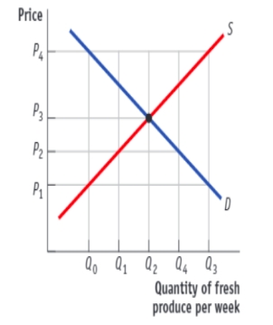 (Figure: Supply and Demand in the Market for Fresh Produce)  Use Figure: Supply and Demand in the Market for Fresh Produce. If a price floor is set at P4 to help improve farm incomes, and the government wants to assure farmers that their output will be purchased, the government must purchase an amount of output equal to:   A) Q3 − Q0. B) Q3 − Q1. C) Q2 − Q1. D) Q1 − Q3.