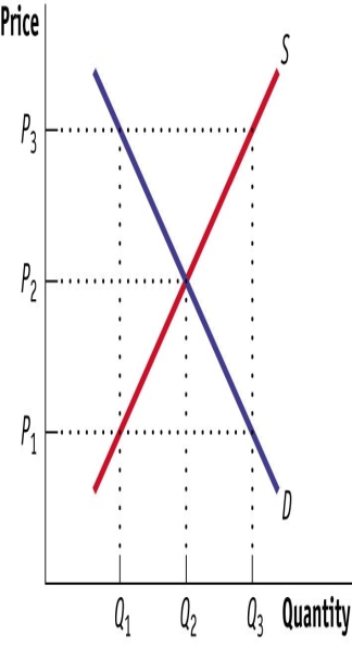 (Figure: Supply, Demand, and Equilibrium)  Use Figure: Supply, Demand, and Equilibrium. In the market illustrated in the figure,   A) the equilibrium price is P2, and the equilibrium quantity is Q2. B) the equilibrium price is P3, and the equilibrium quantity is Q1. C) there is a shortage equal to Q2 − Q1. D) a rise in price will shift the demand curve to the right.