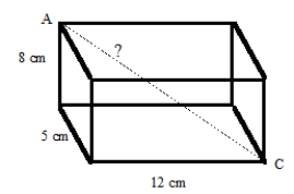 Find the approximate length of diagonal AC in the following right rectangular prism.   A)  15.3 centimeters B)  13 centimeters C)  9.4 centimeters D)  20 centimeters E)  48 centimeters