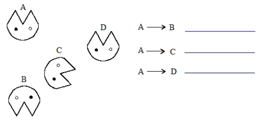 Name the type of rigid motion involved in each of the listed motions. Take into account the different types of  eyes.   