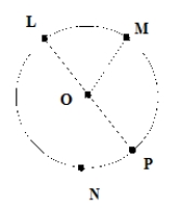 Given the circle with center O shown, give an example of the following.    A) a minor arc B) a major arc C) a diameter D) Draw a chord and label it AB. E) Shade in a sector.