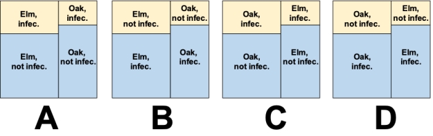  Consider a study in which trees of two species (elm and oak)  were assayed to determine what the probabilities are of being infected with a disease. The data collected are shown in the accompanying table. Which of the mosaic plots below accurately represents the probability values in the data table? ? Probability that trees will be infected with a disease.    \begin{array}{lc} \text { Tree species and }\\ \text { infection status } & \text { Probability } \\ \hline \text { Oak tree, infected } & 0.40 \\ \text { Oak tree, not infected } & 0.20 \\ \text { Elm tree, infected } & 0.30 \\ \text { Elm tree, not infected } & 0.10 \end{array}  ?   ? A)  Plot A B)  Plot B C)  Plot C D)  Plot D 