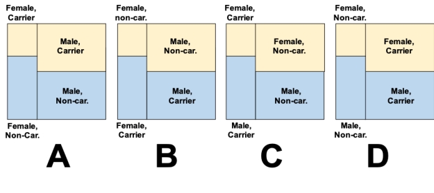  Consider a study in which swabs from the skin of a random sample of college students were tested for the presence of drug-resistant Staphylococcus Aureus. The data collected are shown in the accompanying table. Which of the mosaic plots below accurately represents the probability values in the data table? ? Probability that male and female patients will carry drug-resistant Staphylococcus Aureus on skin.    \begin{array}{lc} \text { Tree species and }\\ \text { infection status } & \text { Probability } \\ \hline \text { Male, carriers } & 0.10 \\ \text { Male, non-carriers } & 0.35 \\ \text { Female, carriers } & 0.20 \\ \text { Female, non-carriers } & 0.35 \end{array}  ?   A)  Plot A B)  Plot B C)  Plot C D)  Plot D 