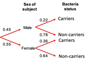 Consider a study in which swabs from the skin of a random sample of college students were tested for the presence of drug-resistant Staphylococcus Aureus. The probabilities that resulted are shown in the probability tree. Which of the columns in the data table below accurately represents the probability values in the probability tree? ​     A)  Plot A B)  Plot B C)  Plot C D)  Plot D