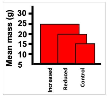 Consider an experiment in which rats are given three diets (reduced calorie, control, and increased calorie)  and their masses at 6 weeks of age are measured. Which of the following is NOT an aspect of poor design in the figure shown? ​   ​ A)  The two-dimensional nature of the bars subliminally exaggerates differences between the groups. B)  The axis should go to zero to allow true judgement of relative differences. C)  The data are shown in a manner that makes judging the values more difficult. D)  The unit for mass in the axis label is redundant and makes the label overly wordy.