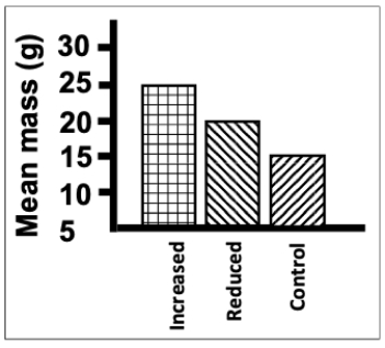 Consider an experiment in which rats are given three diets (reduced calorie, control, and increased calorie)  and their masses at 6 weeks of age are measured. Which of the following is an aspect of poor design in the figure shown? ​   ​ A)  The different patterns for the groups provide no additional information because they are redundant with the labels. B)  The figure is black and white; color is always better when making figures and graphs. C)  The unit for mass in the axis label should be spelled out with words instead of abbreviated within the parentheses. D)  Since the minimum group mean is 20, dropping the axis all the way down to zero is too far and wastes space.