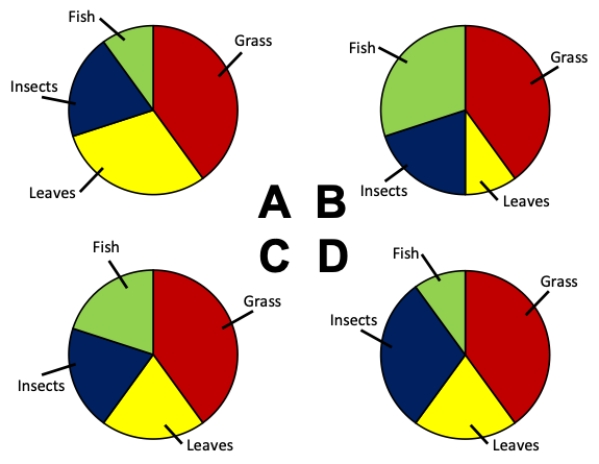 Consider an experiment in which an omnivorous species has its stomach contents analyzed. Which of the pie charts correctly depicts the following values for the diet of the omnivore: 20% grass, 40% leaves, 20% insects, 20% fish? ​   ​ A)  Chart A B)  Chart B C)  Chart C D)  Chart D