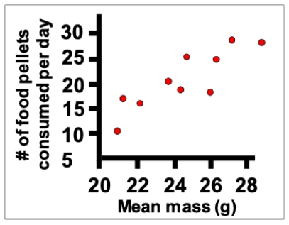 Consider an experiment in which rats are weighed and then their food consumption is measured. Which of the following terms is the best technical description of the data shown? ​   ​ A)  A casual relationship. B)  A causal relationship. C)  A positive relationship. D)  An upward relationship.