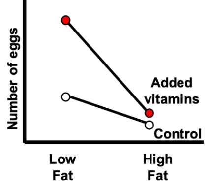 The interaction plot shown most likely represents which of the following? ​   A)  Effects of diet treatment and an interaction, but no effect of temperature B)  Effects of vitamin treatment and an interaction, but no effect of temperature C)  Effects of diet and vitamin treatments, and an interaction D)  Effects of diet and vitamin treatments, but no interaction