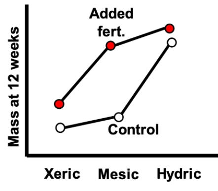 The interaction plot shown most likely represents which of the following? ​   A)  Associations with environment and fertilizer treatment, and an interaction B)  Associations with environment and fertilizer treatment, but no interaction C)  An association with environment, but no effect of fertilizer treatment or any interaction D)  An association with fertilizer treatment, but no effect of environment or any interaction