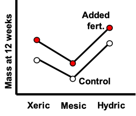 The interaction plot shown most likely represents which of the following? ​   A)  An association with environment, but no effect of fertilizer treatment or any interaction B)  An association with fertilizer treatment, but no association with environment or any interaction C)  Associations with environment and fertilizer treatment, and an interaction D)  Associations with environment and fertilizer treatment, but no interaction