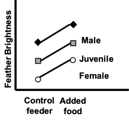 The interaction plot shown most likely represents which of the following? ​   A)  Associations with diet and bird age/sex, and an interaction B)  Associations with diet and bird age/sex treatment, but no interaction C)  An association with diet, but no effect of bird age/sex or any interaction D)  An association with fertilizer treatment, but no effect of diet or any interaction
