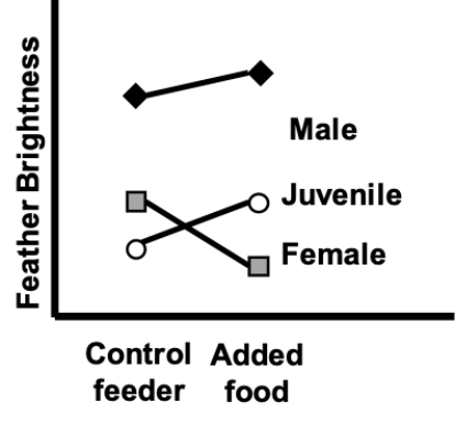 The interaction plot shown most likely represents which of the following? ​   A)  Associations with diet and bird age/sex, and an interaction B)  Associations with diet and bird age/sex treatment, but no interaction C)  An association with diet and an interaction, but no effect of bird age/sex D)  An association with bird age/sex and an interaction, but no effect of diet