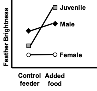 The interaction plot shown most likely represents which of the following? ​   A)  Associations with diet and bird age/sex, and an interaction B)  Associations with diet and bird age/sex treatment, but no interaction C)  An association with diet, but no effect of bird age/sex or any interaction D)  An association with fertilizer treatment, but no effect of diet or any interaction
