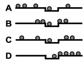 Consider the figure showing the final position of balls dropped that had been aimed at the indentation. Which of the plots shows the situation best described as poor accuracy, poor precision?   A)  Plot A B)  Plot B C)  Plot C D)  Plot D